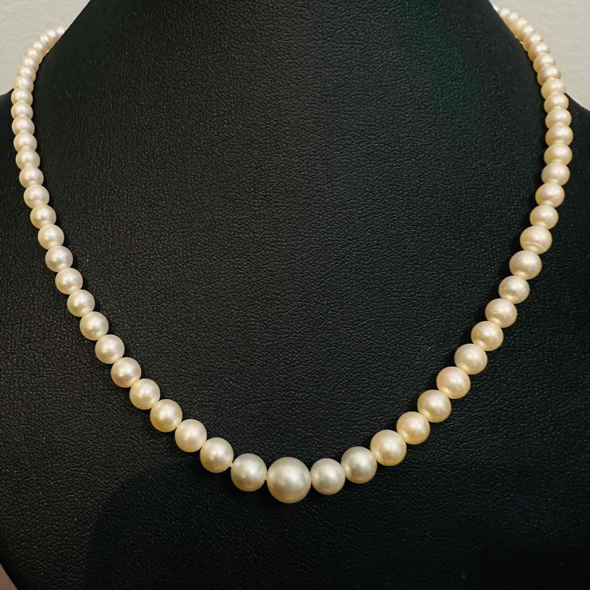 Saltwater Cultured Pearl & 14ct White Gold Diamond Clasp Necklace, displayed on black velvet chest