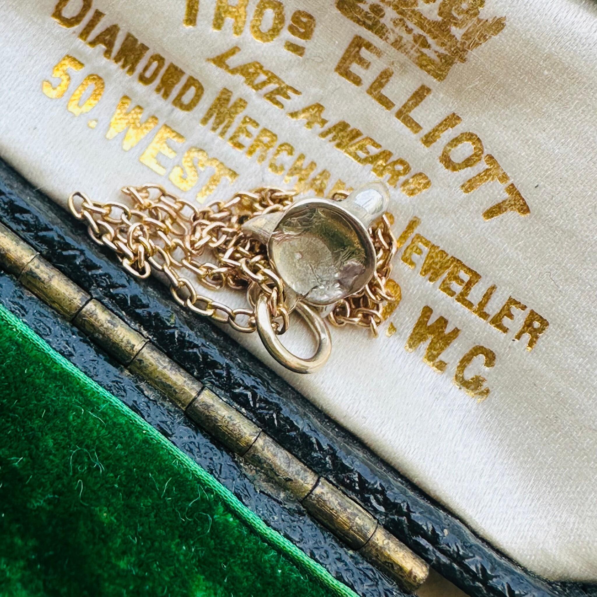 rear view of Victorian Diamond & Ruby Eyes Fox Pendant displayed laying on antique box