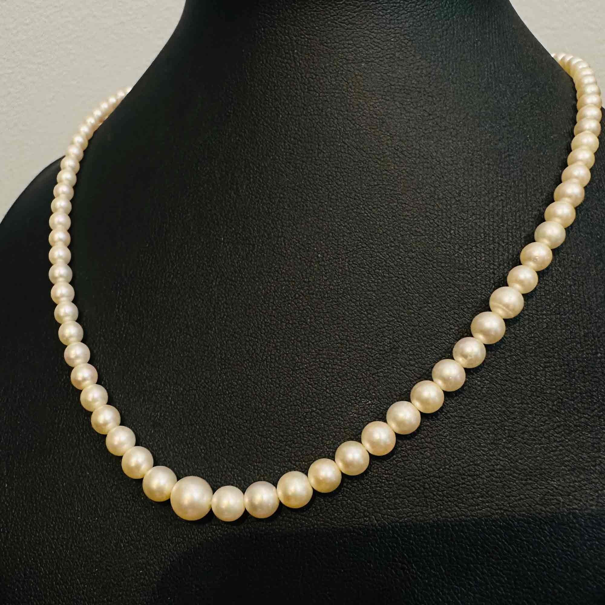 Saltwater Cultured Pearl & 14ct White Gold Diamond Clasp Necklace, displayed on black velvet chest