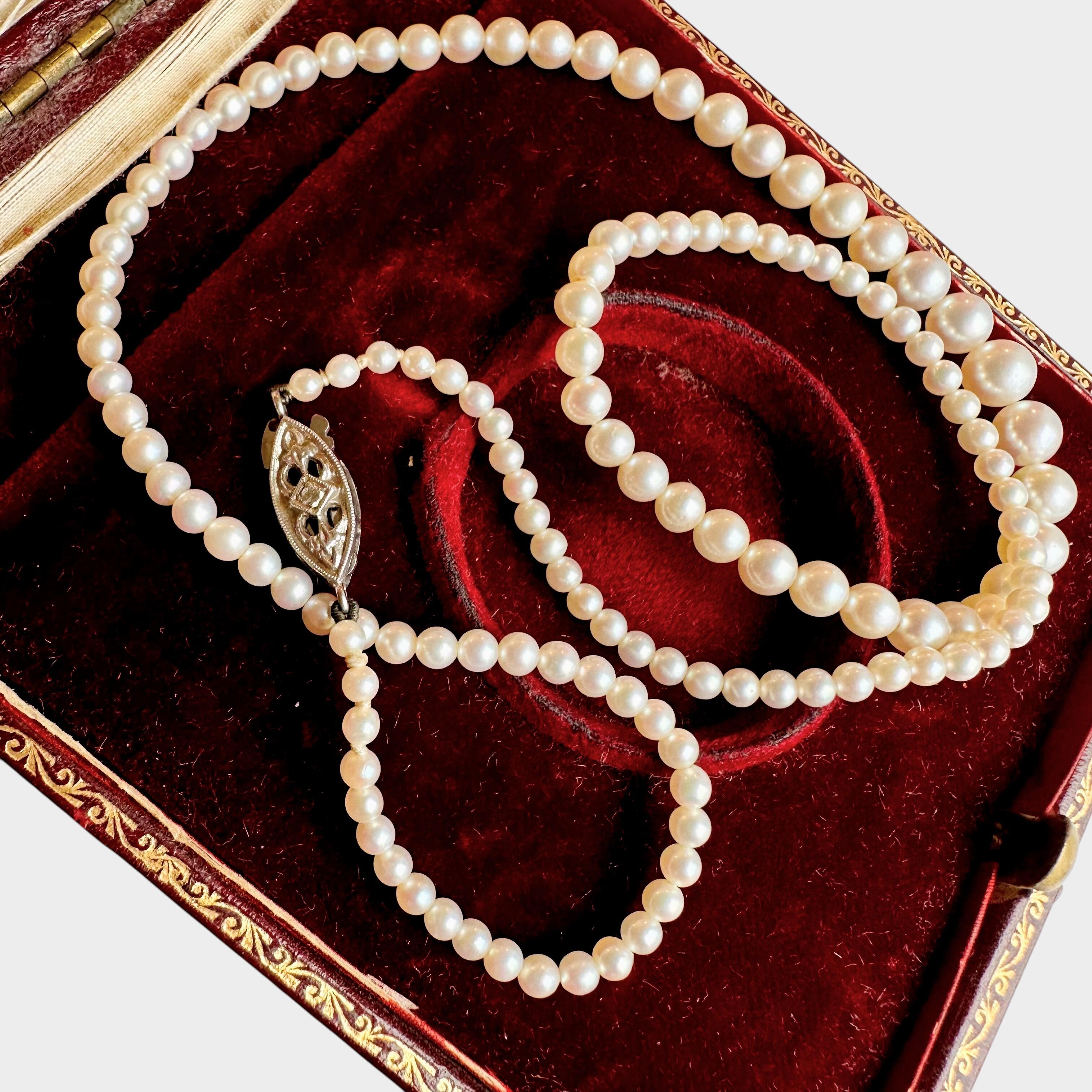 White Gold & Diamond, Saltwater Cultured Pearl Necklace displayed on antique box