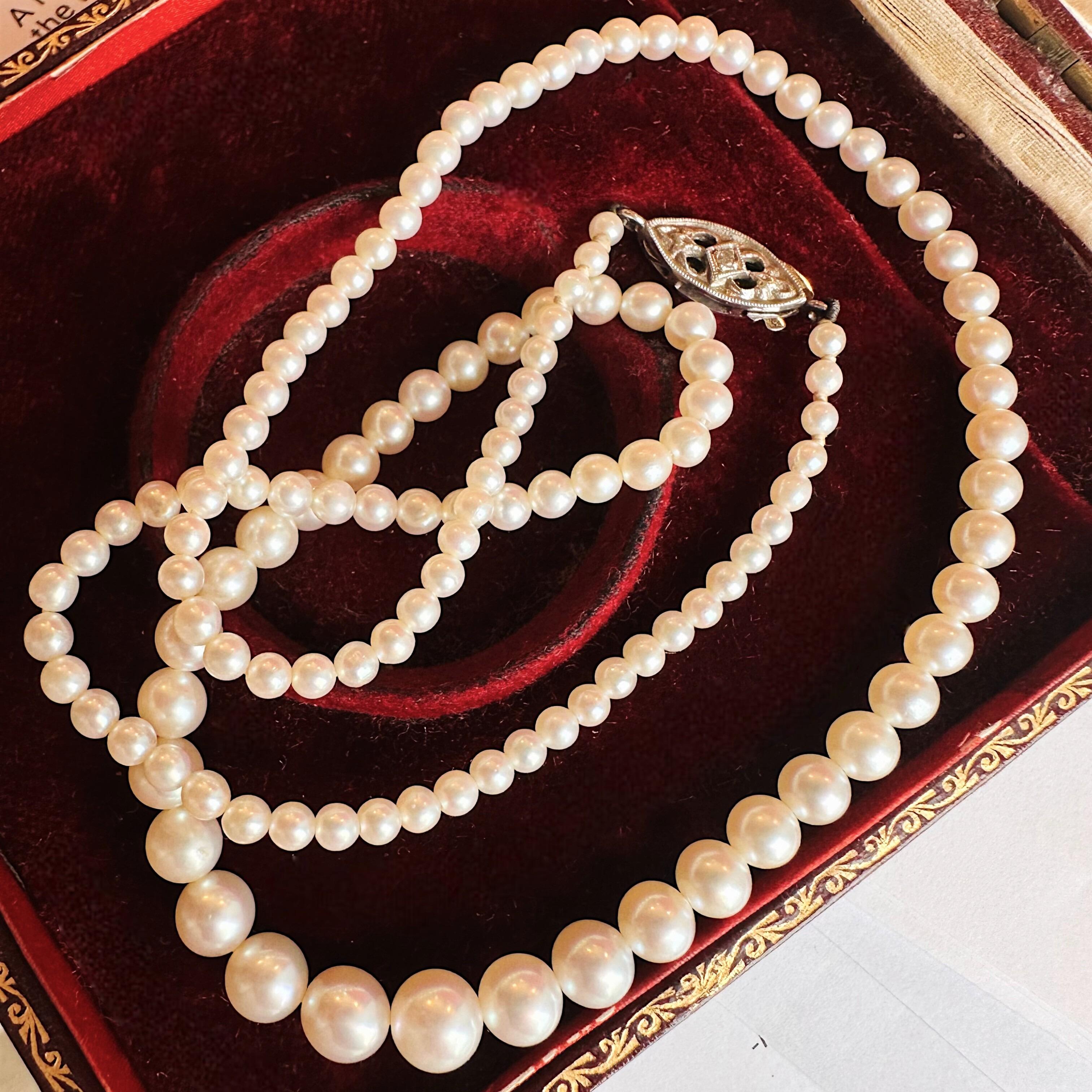 White Gold & Diamond, Saltwater Cultured Pearl Necklace displayed on antique box