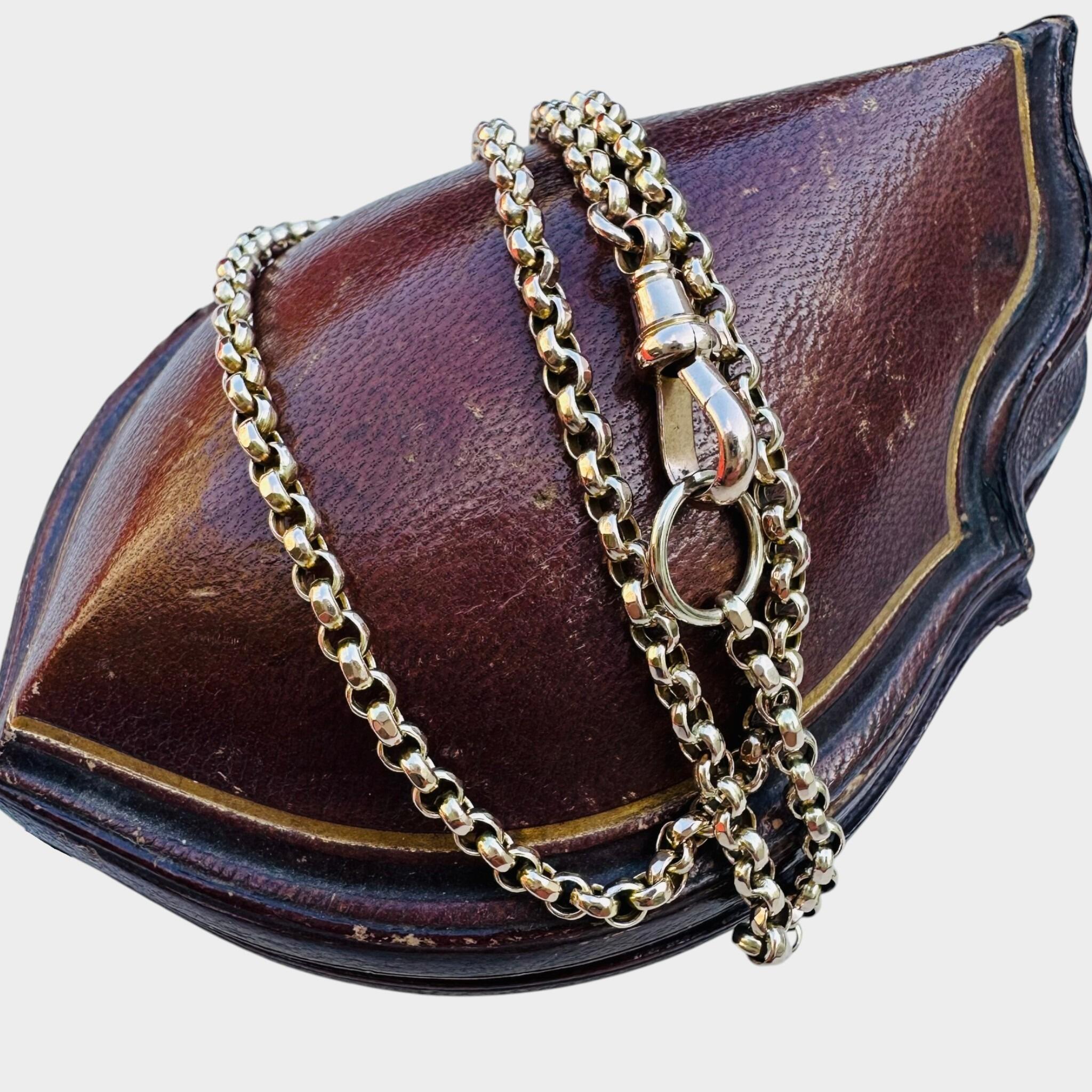 Antique Gold Belcher Link Chain Necklace & Dog Clip displayed over a red antique box