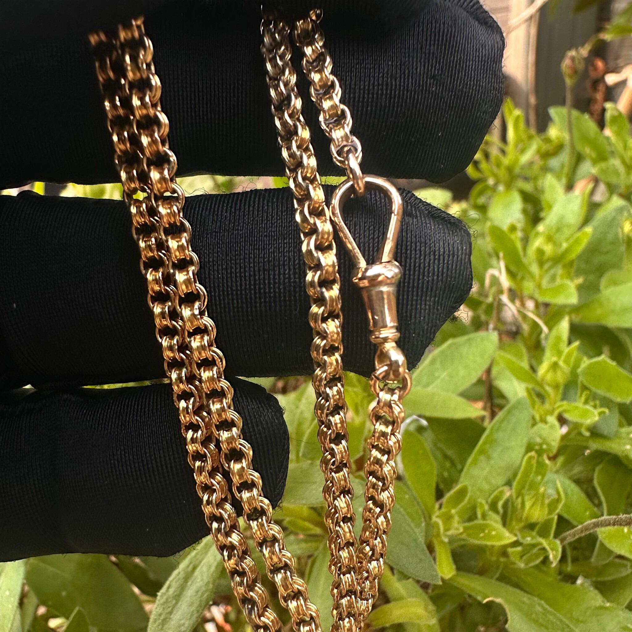 Gold Double Belcher Link Chain& Dog Clip Clasp held in garden