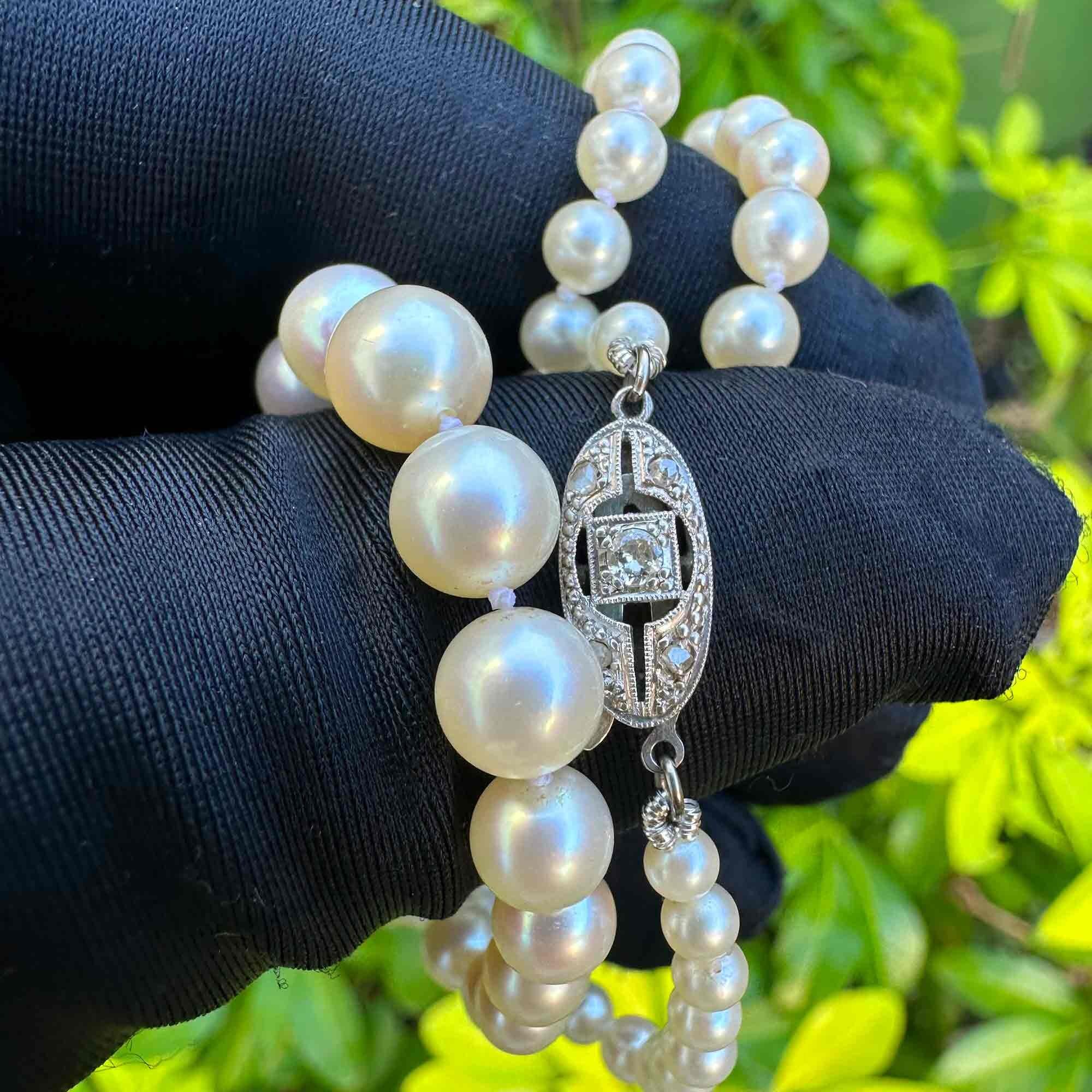 14ct White Gold & Diamond Saltwater Cultured Pearl Necklace held in garden