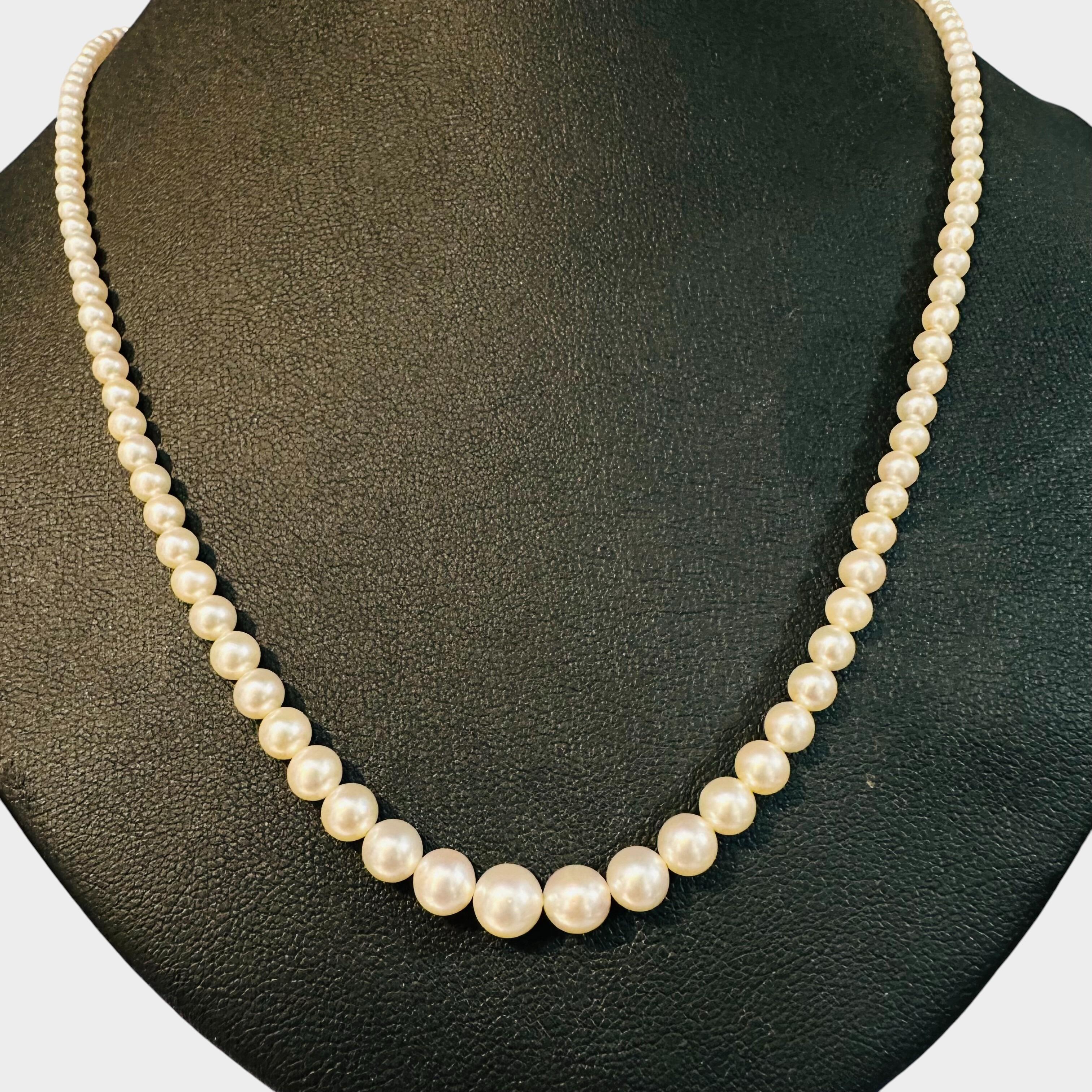 White Gold & Diamond, Saltwater Cultured Pearl Necklace on black display chest