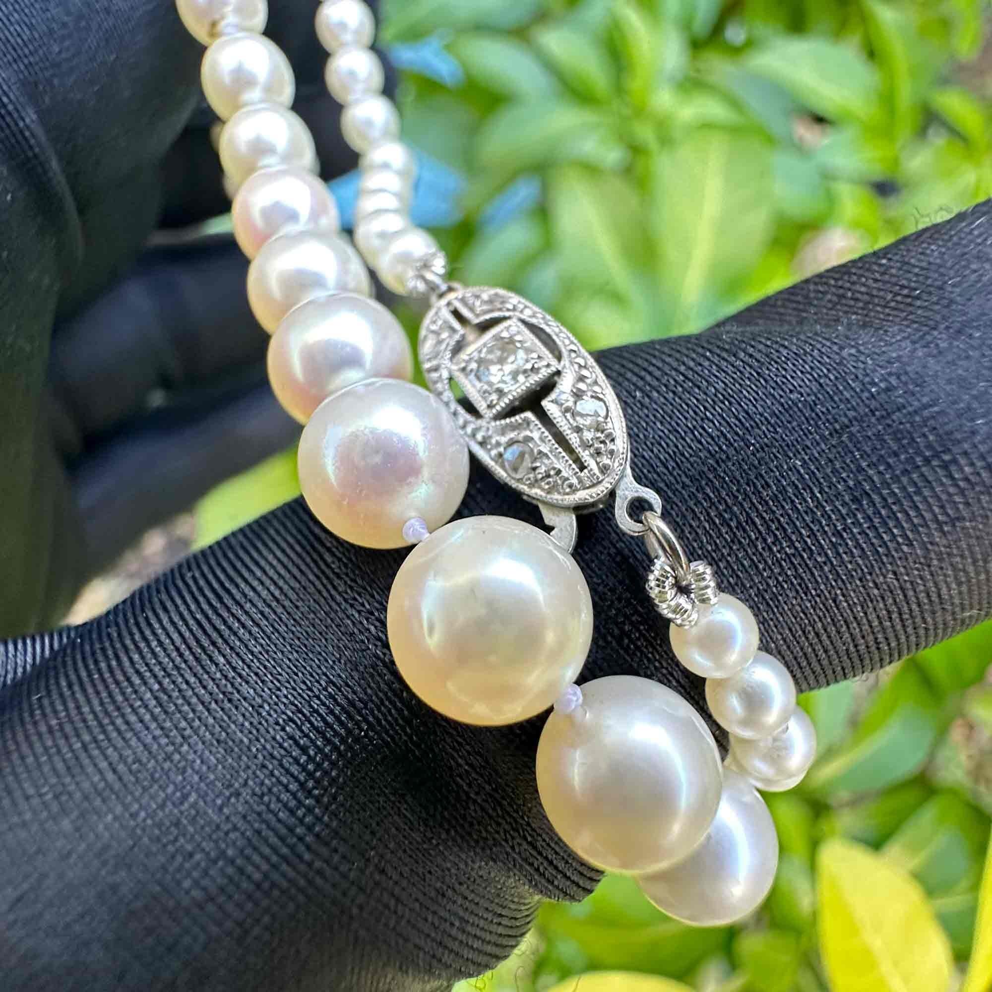 14ct White Gold & Diamond Saltwater Cultured Pearl Necklace held in garden