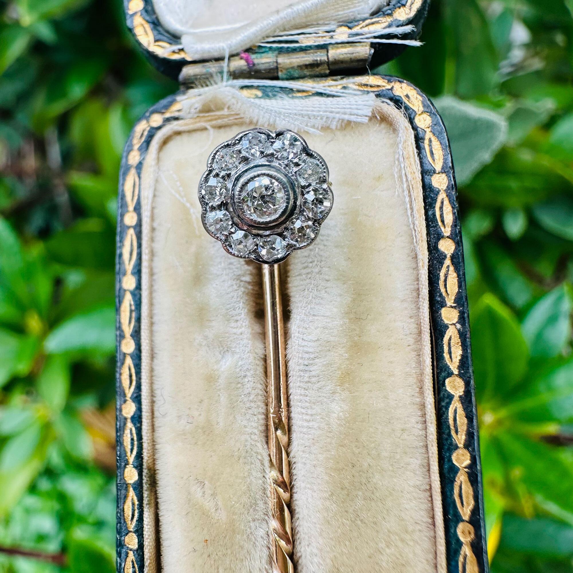 Antique diamond stick pin in antique box with garden background.