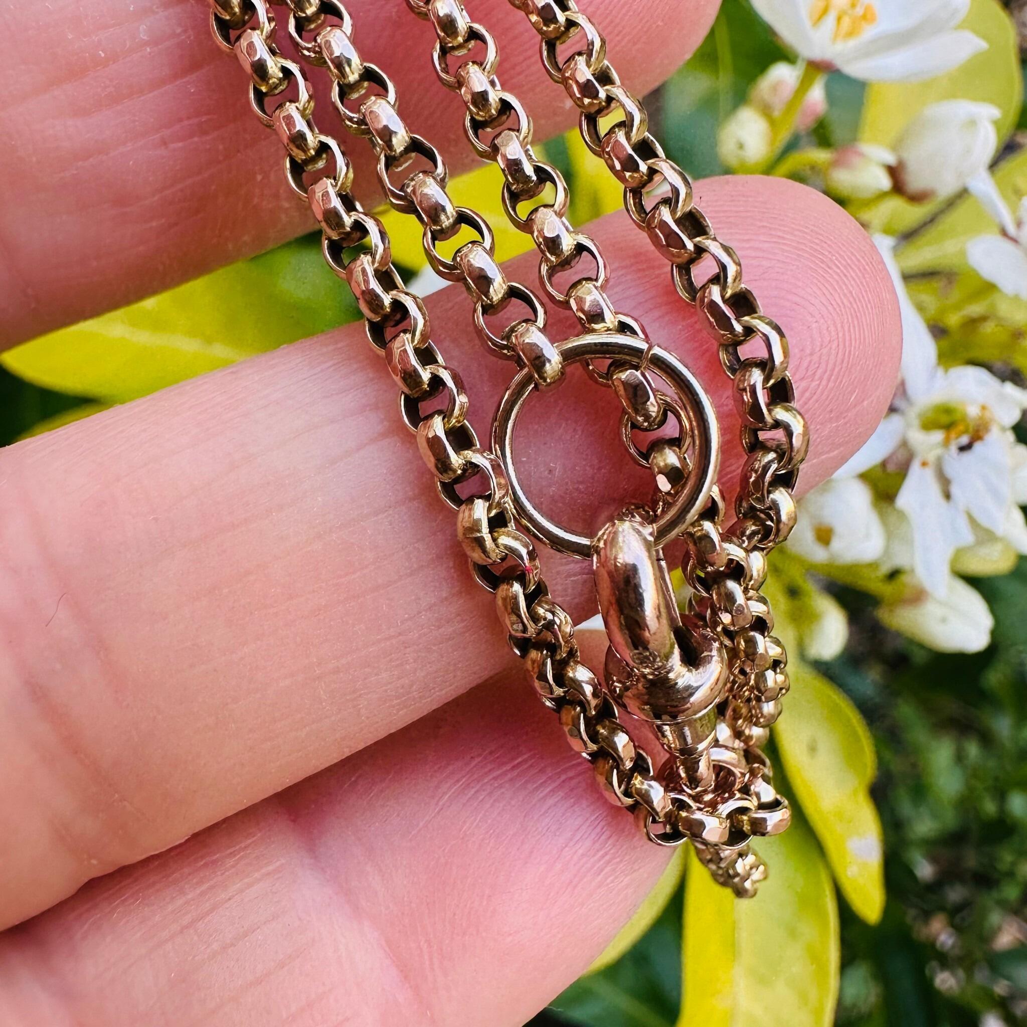 Antique Gold Belcher Link Chain Necklace & Dog Clip held in hand with garden in the background