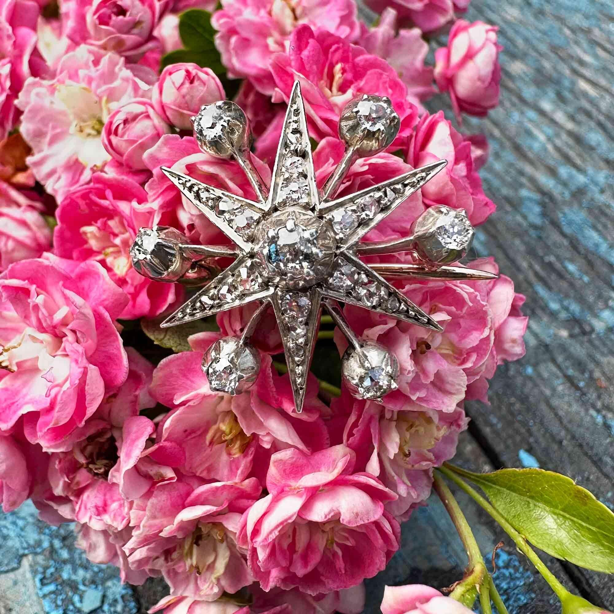 Victorian diamond star pendant / brooch on pink flowers in garden.