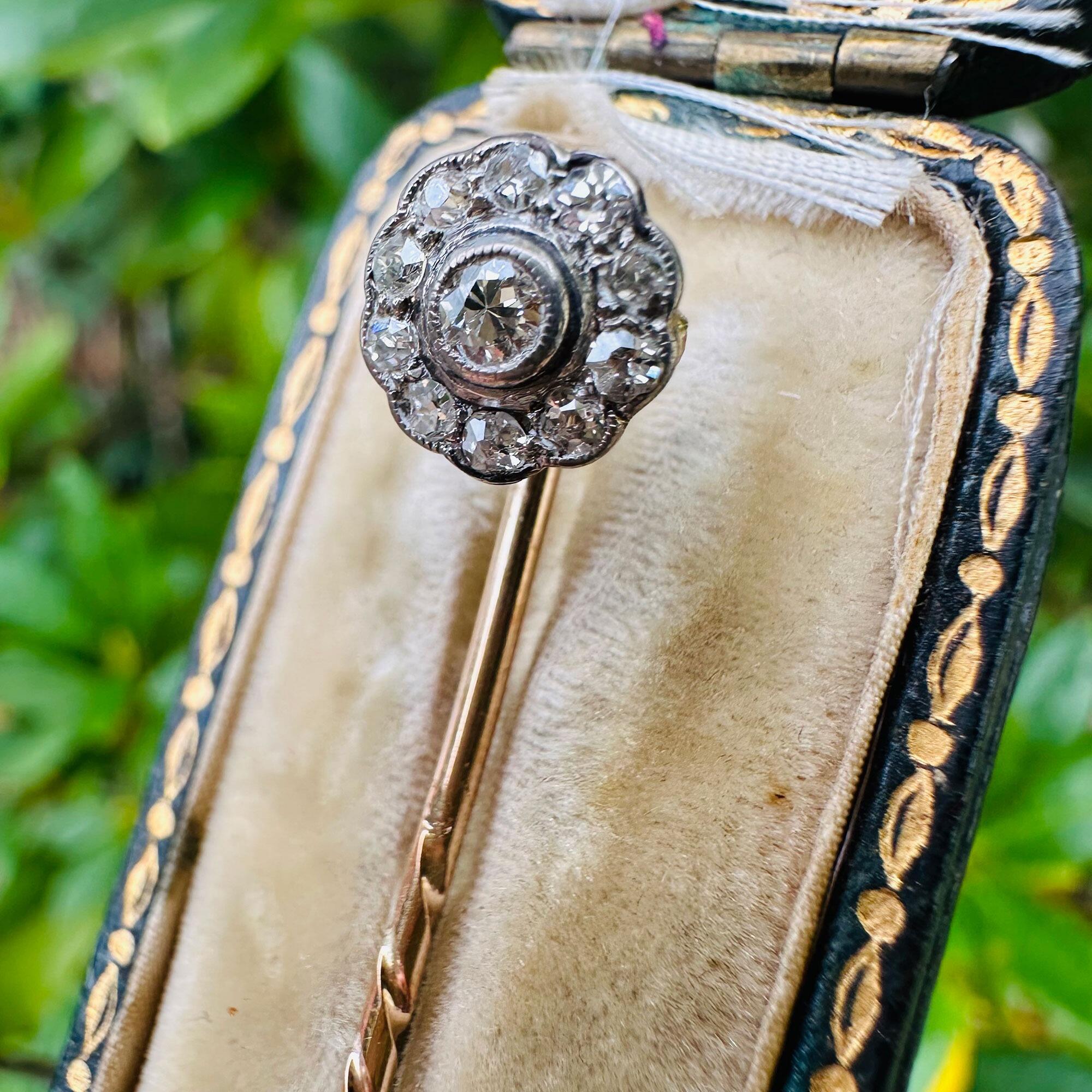 Antique diamond stick pin in antique box with garden background.