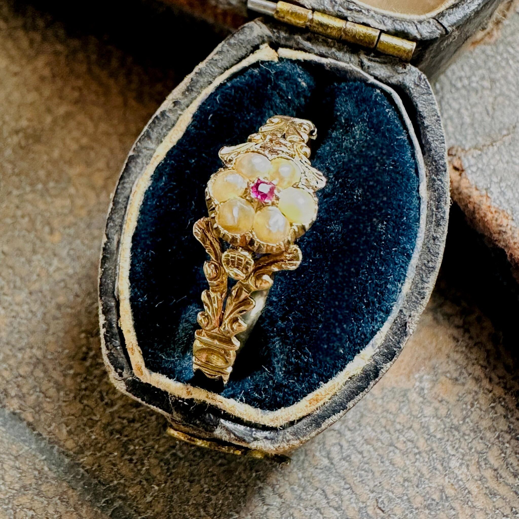 side view of Antique Georgian Regency Pearl & Ruby Daisy Ring displayed in antique box