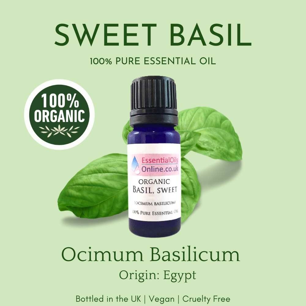 organic basil essential oil information