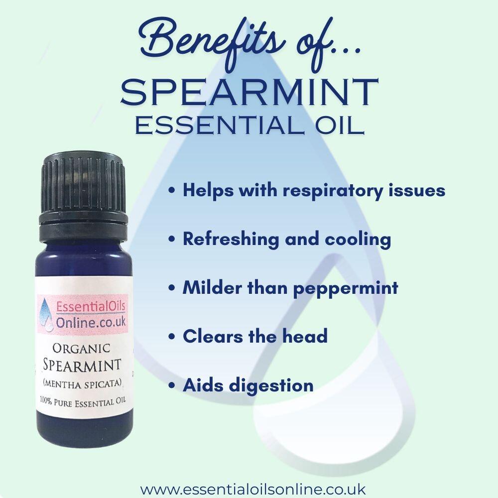 Organic Spearmint essential oil benefits
