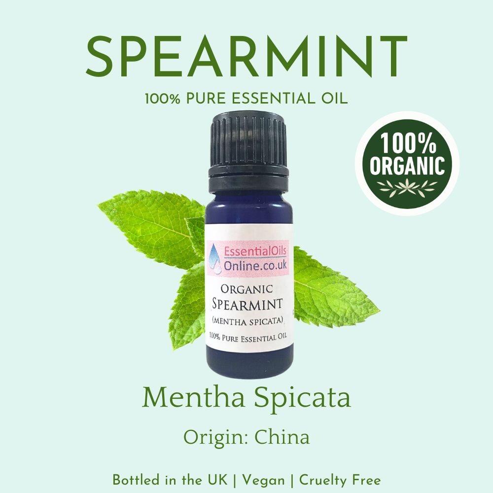 Organic Spearmint essential oil information