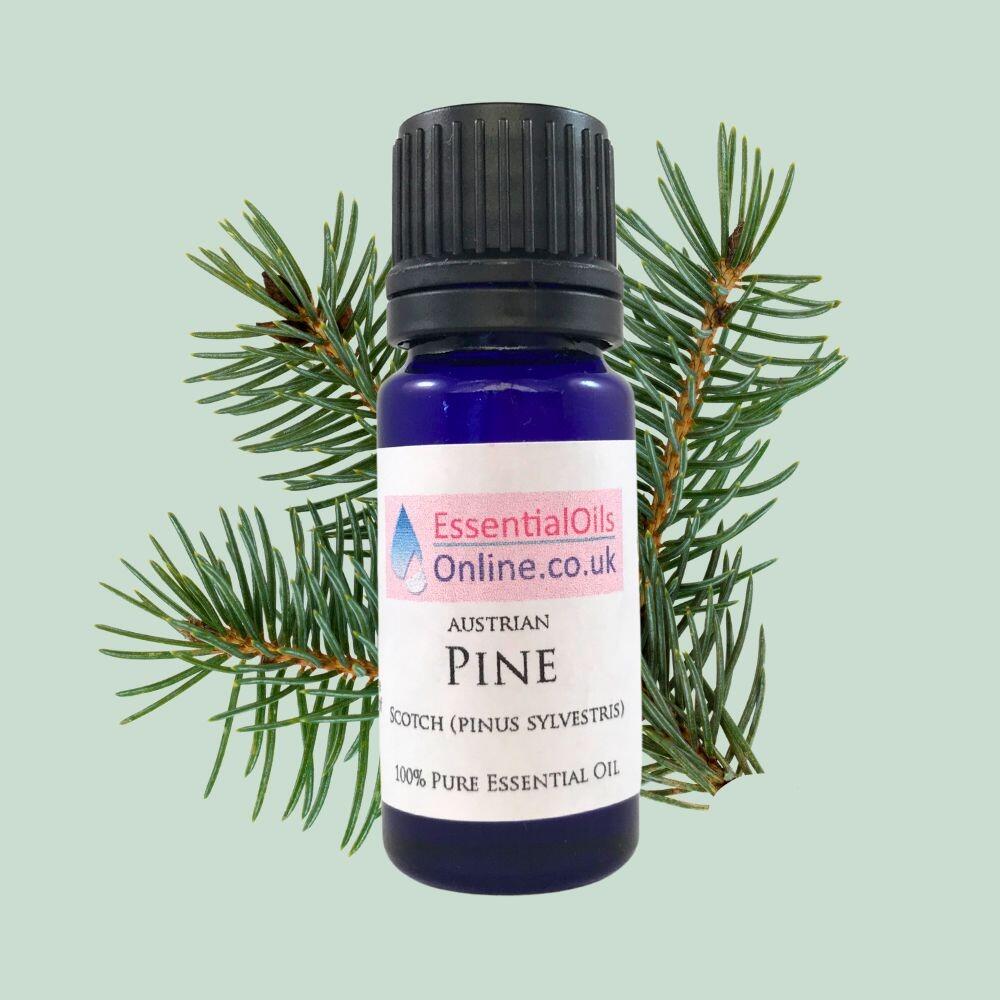 Pine essential oil