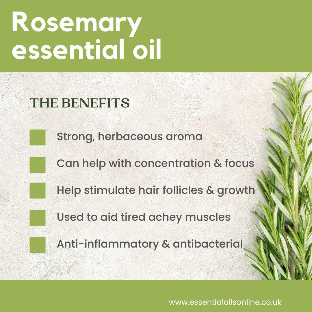 Organic Rosemary essential oil Benefits