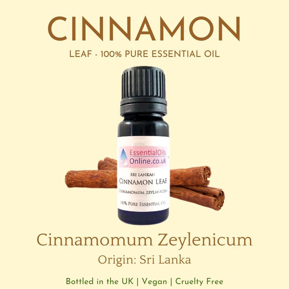 Cinnamon essential oil information