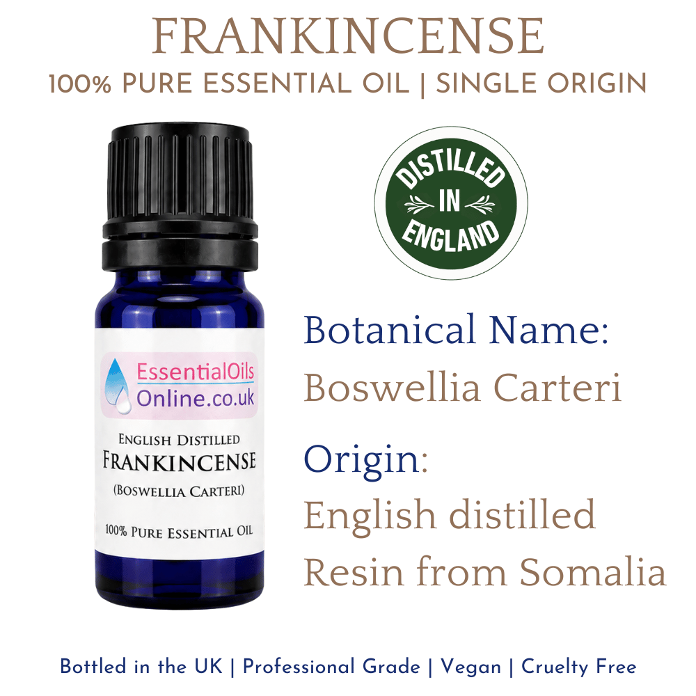 Frankincense essential oil - English Distilled Infographic