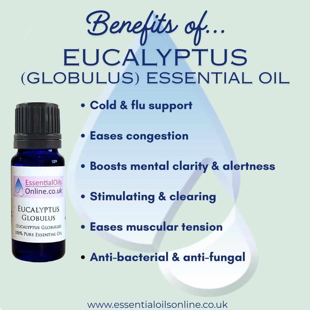 Eucalyptus essential oil benefits