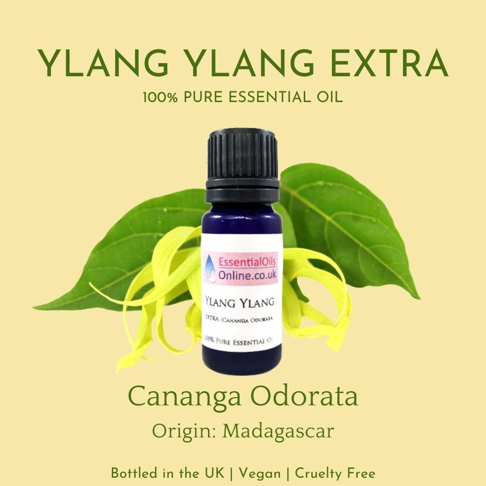 Ylang Ylang essential oil information