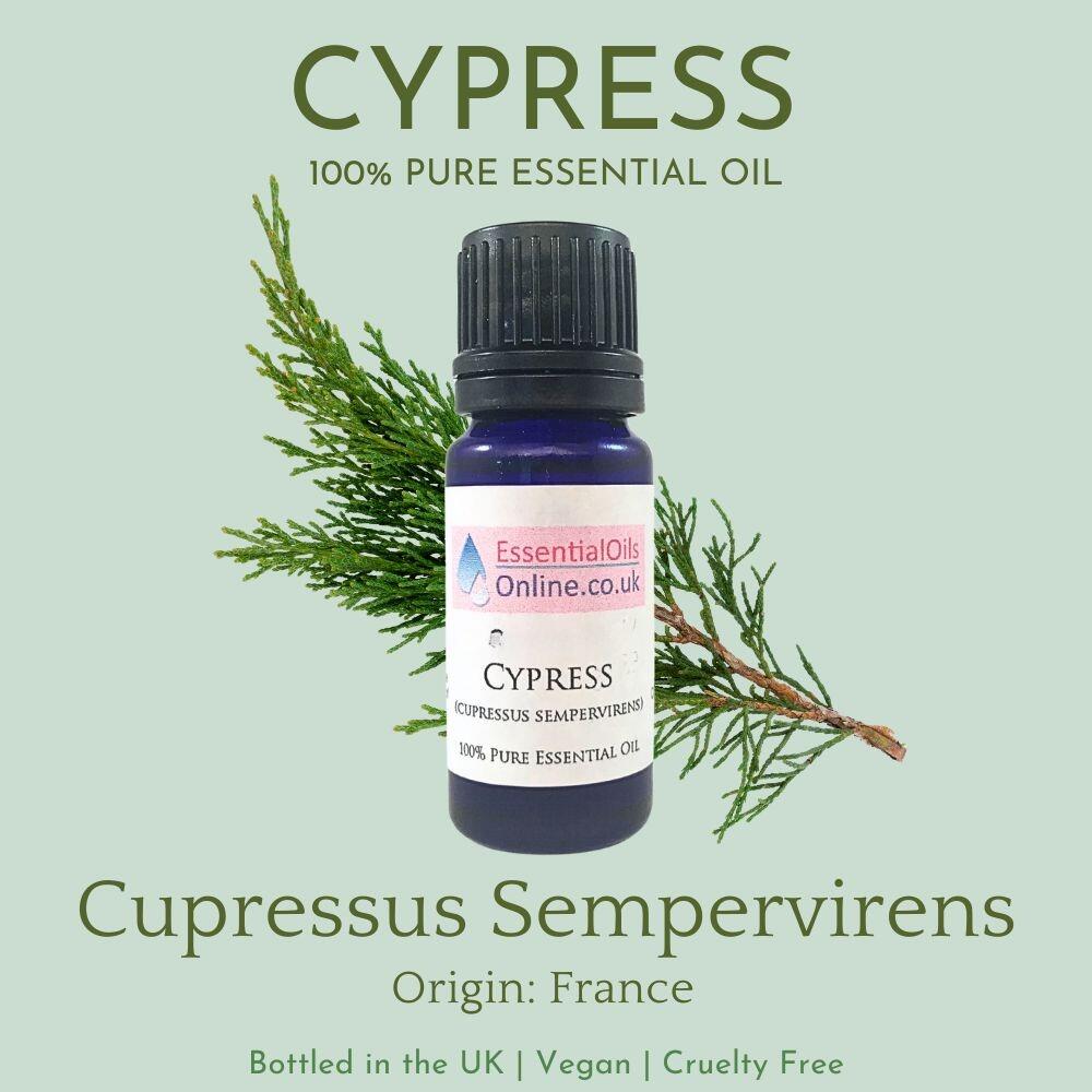 Cypress essential oil information