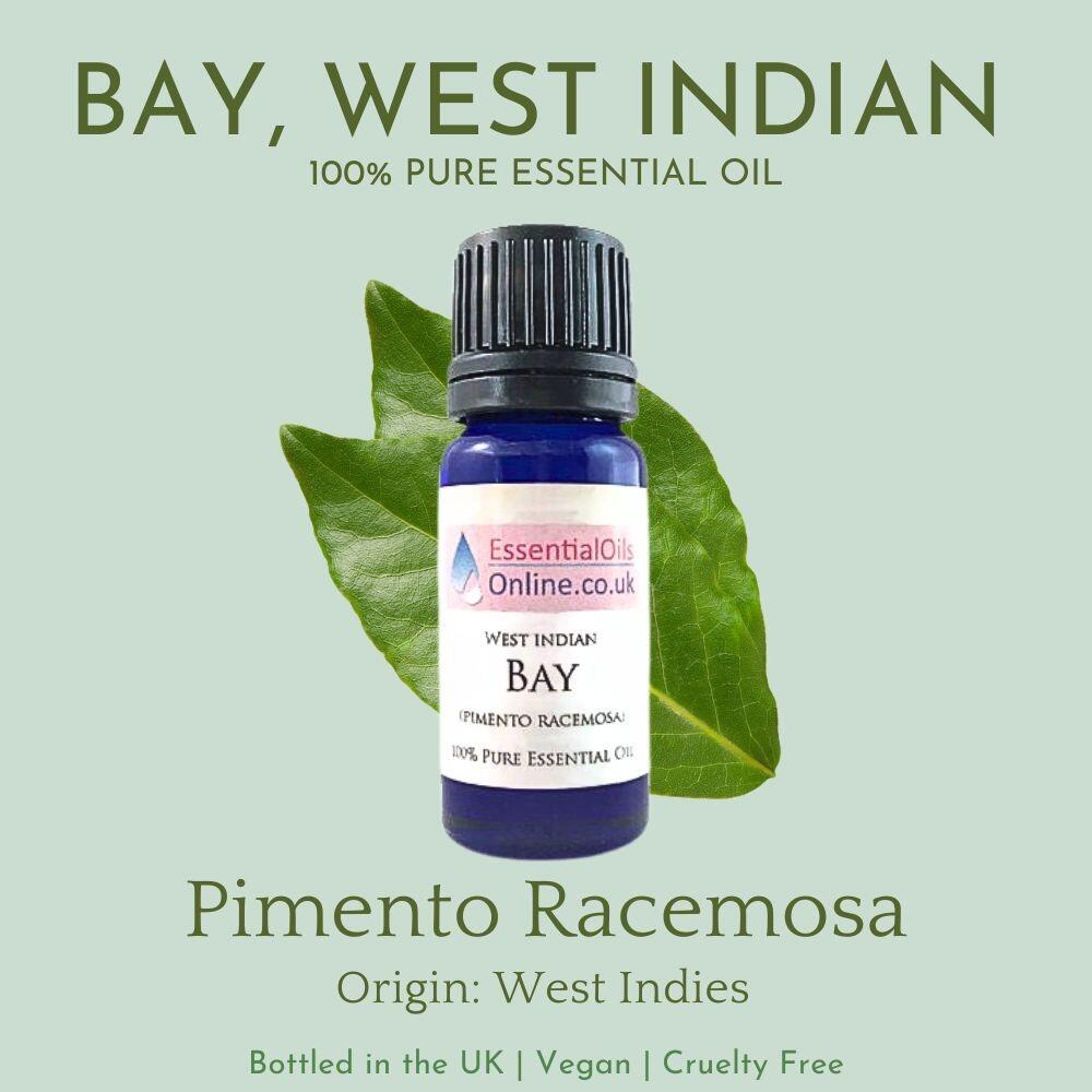 West Indian Bay essential oil information