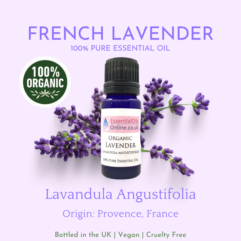 Organic French lavender essential oil information