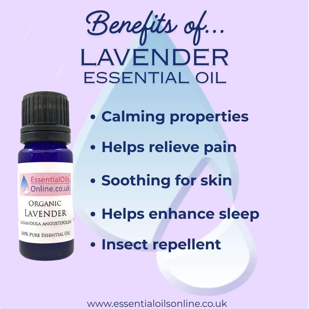 Organic French lavender essential oil benefits