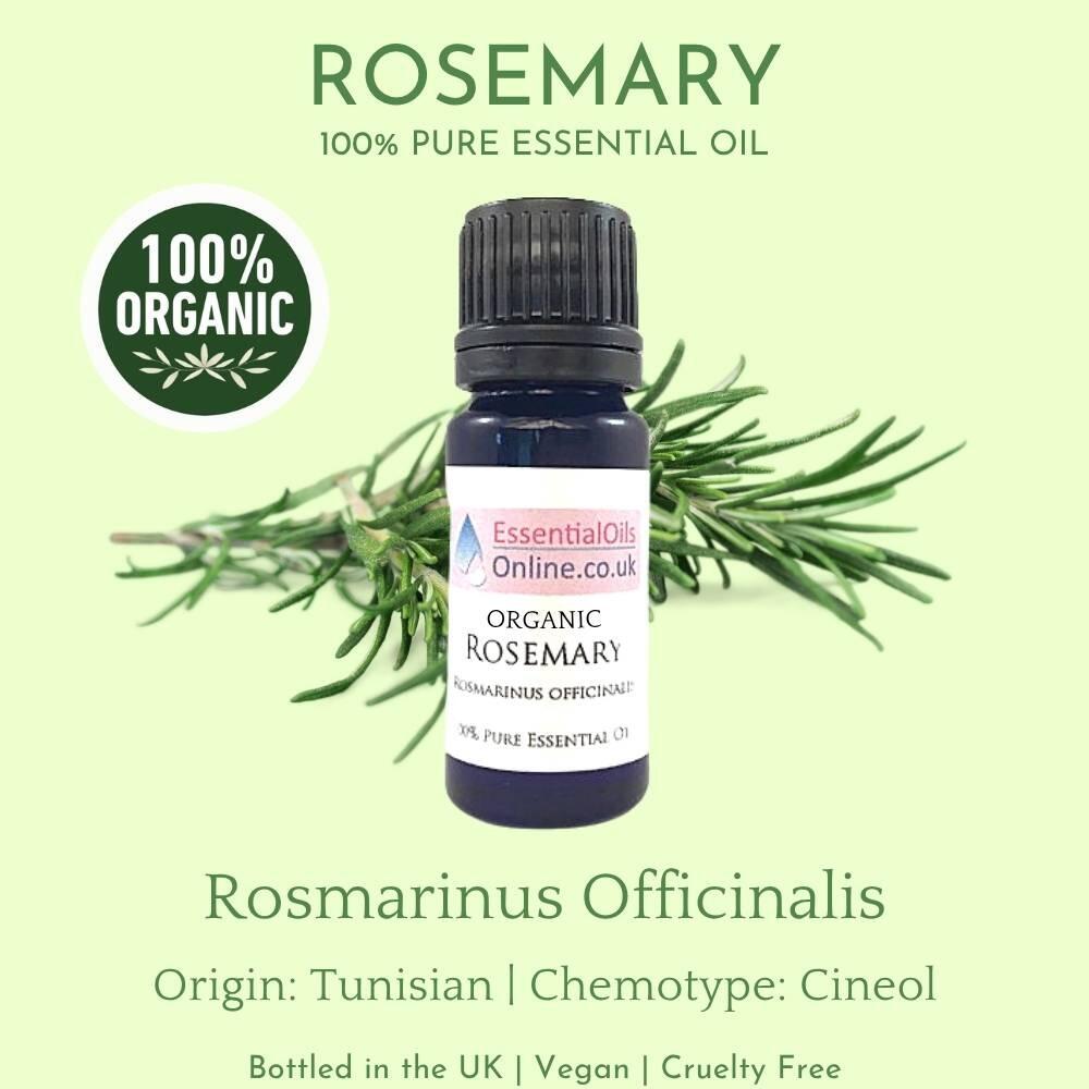 Organic Rosemary essential oil information