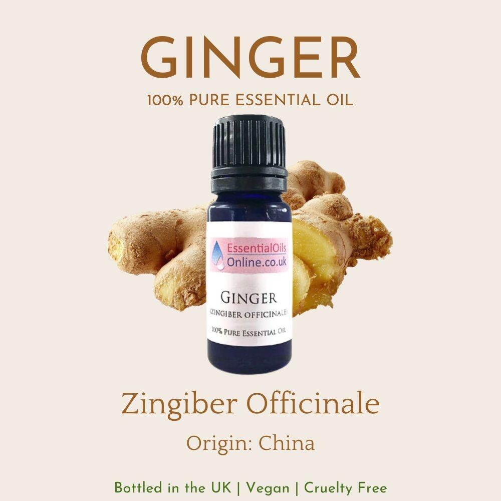 Ginger essential oil information