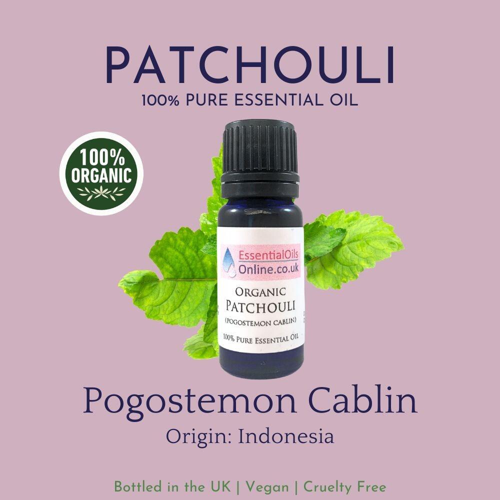Organic Patchouli essential oil information