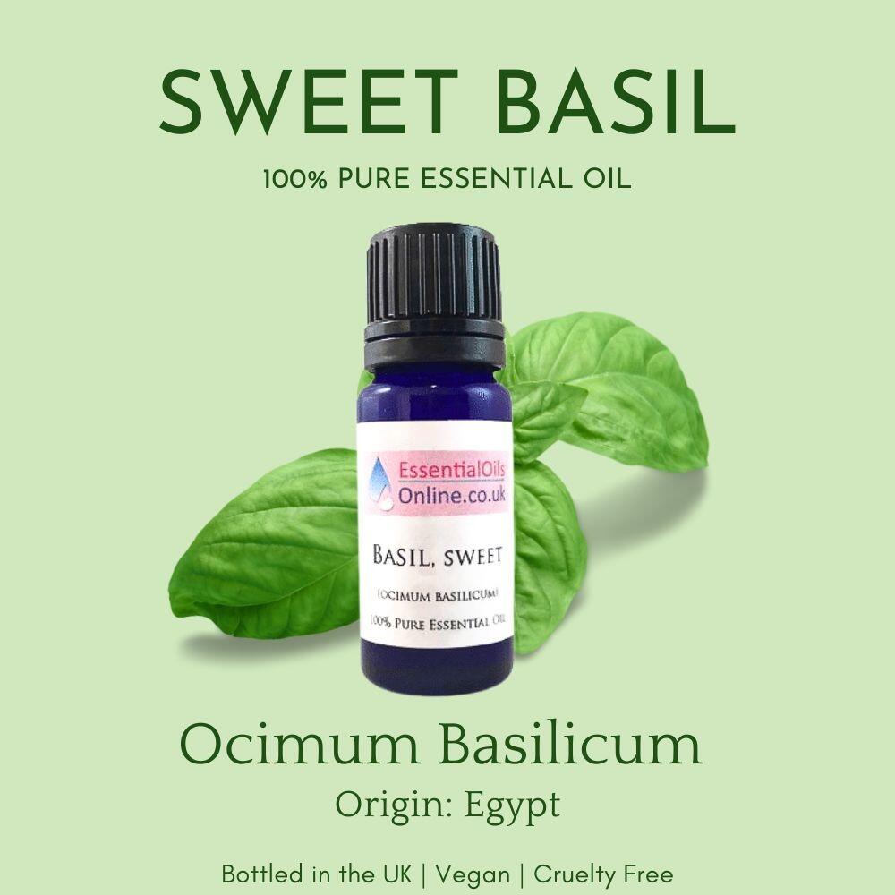 basil essential oil information