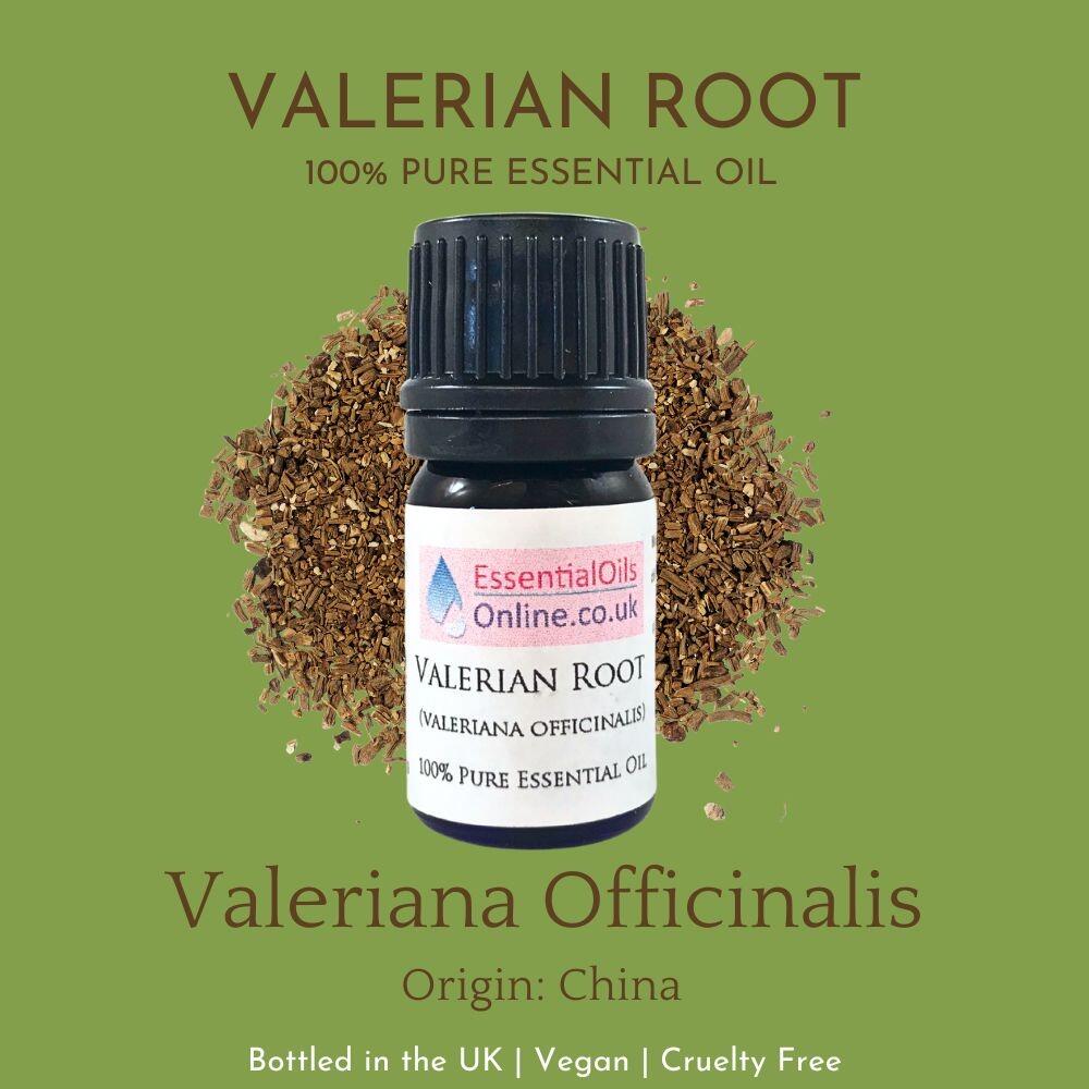 Valerian Root Essential Oil information