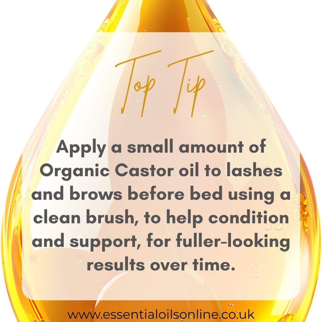 Castor oil tip for brows and lashes