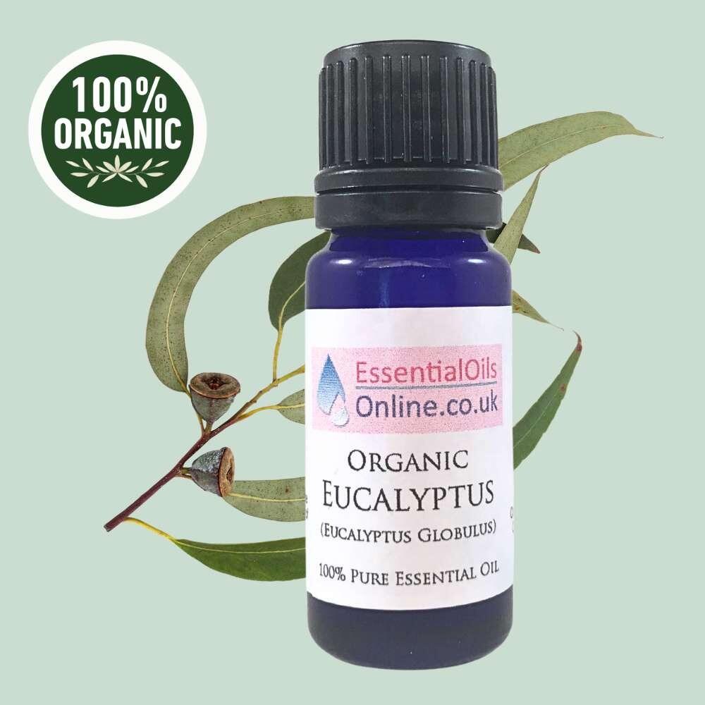 Organic Eucalyptus essential oil
