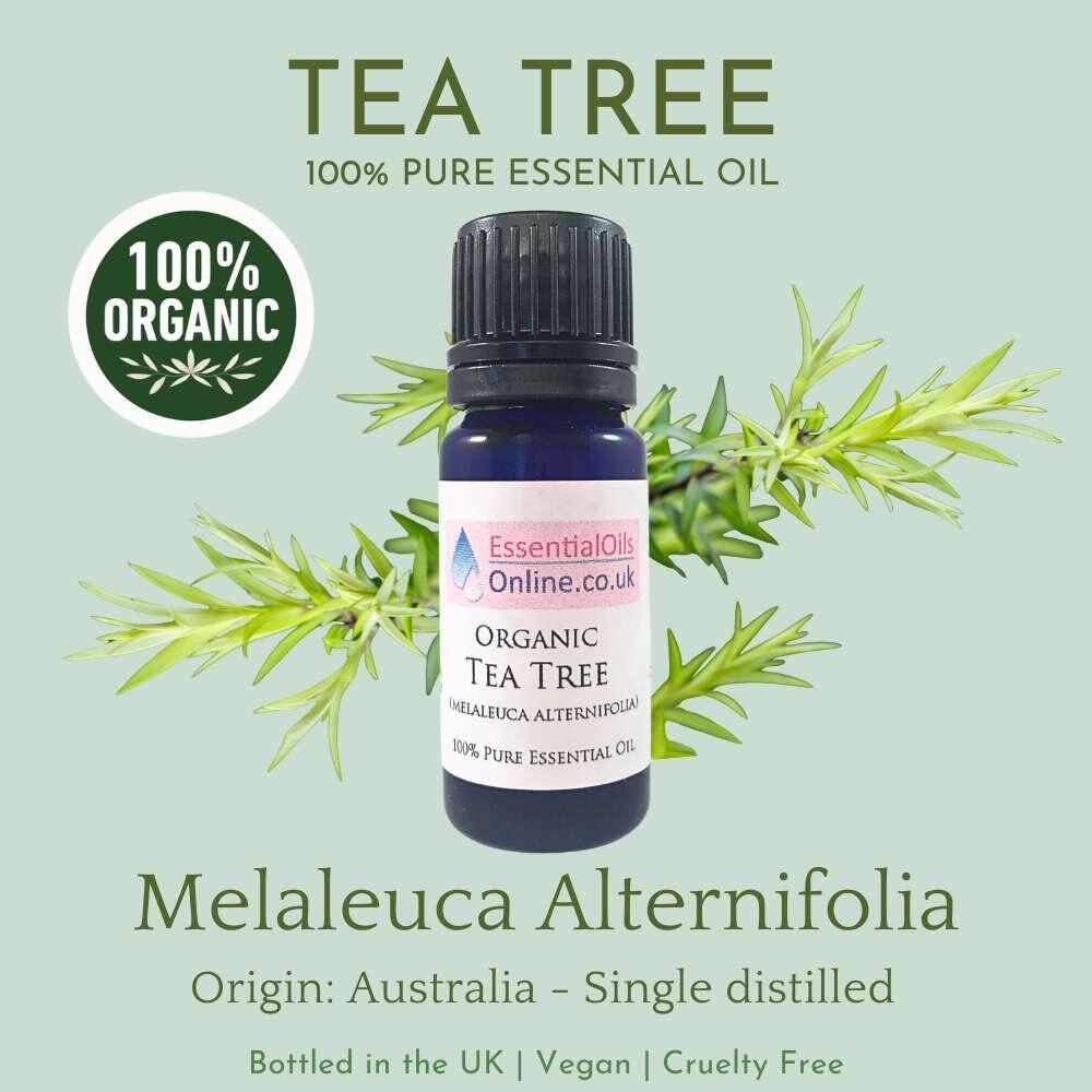Organic Tea Tree essential oil information