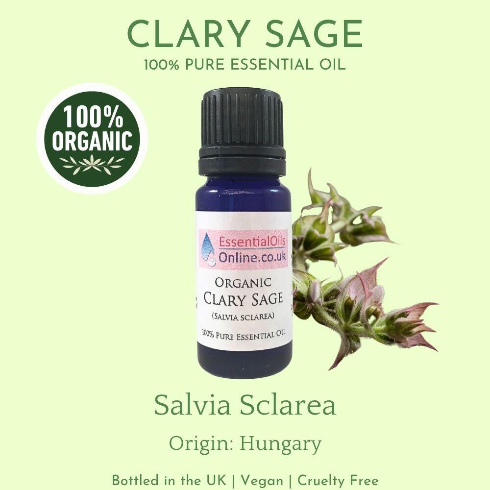 Organic Clary Sage essential oil info