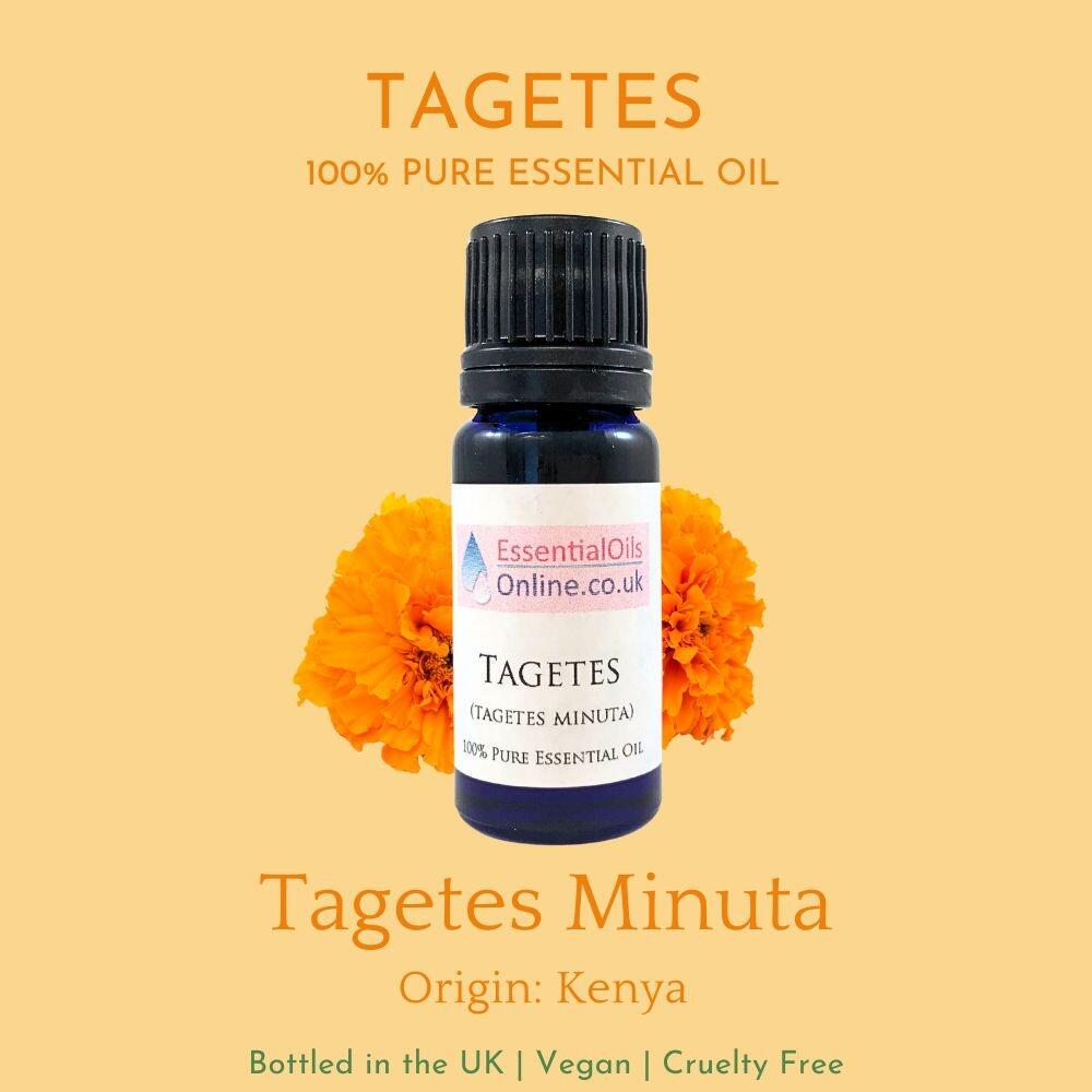 Tagetes essential oi information