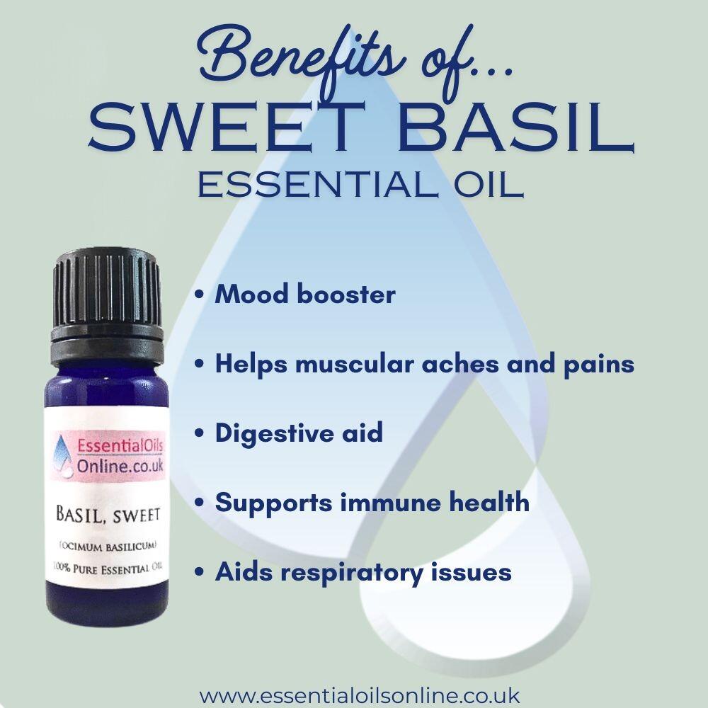 Sweet basil essential oil benefits