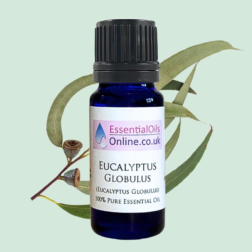 Eucalyptus Globulus essential oil