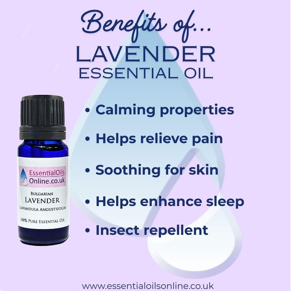 Bulgarian Lavender essential oil benefits