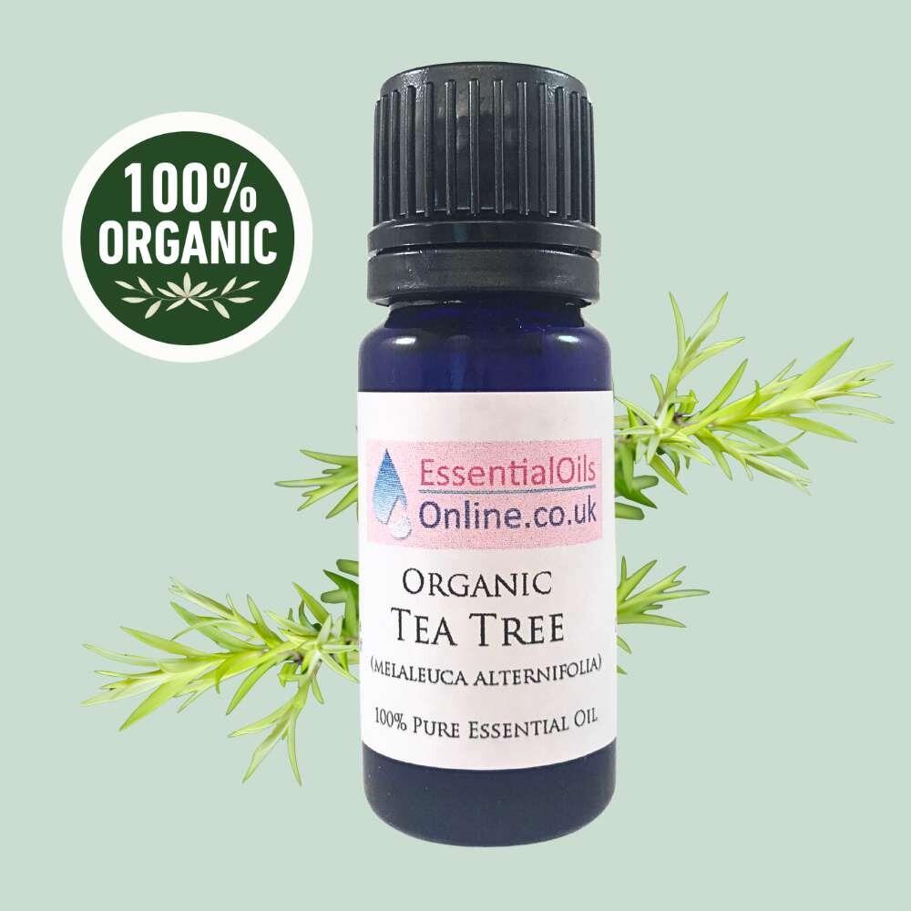 Organic Tea Tree essential oil