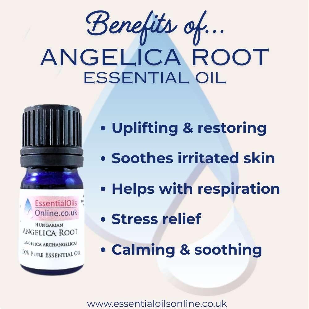 Angelica Root Essential Oil benefits