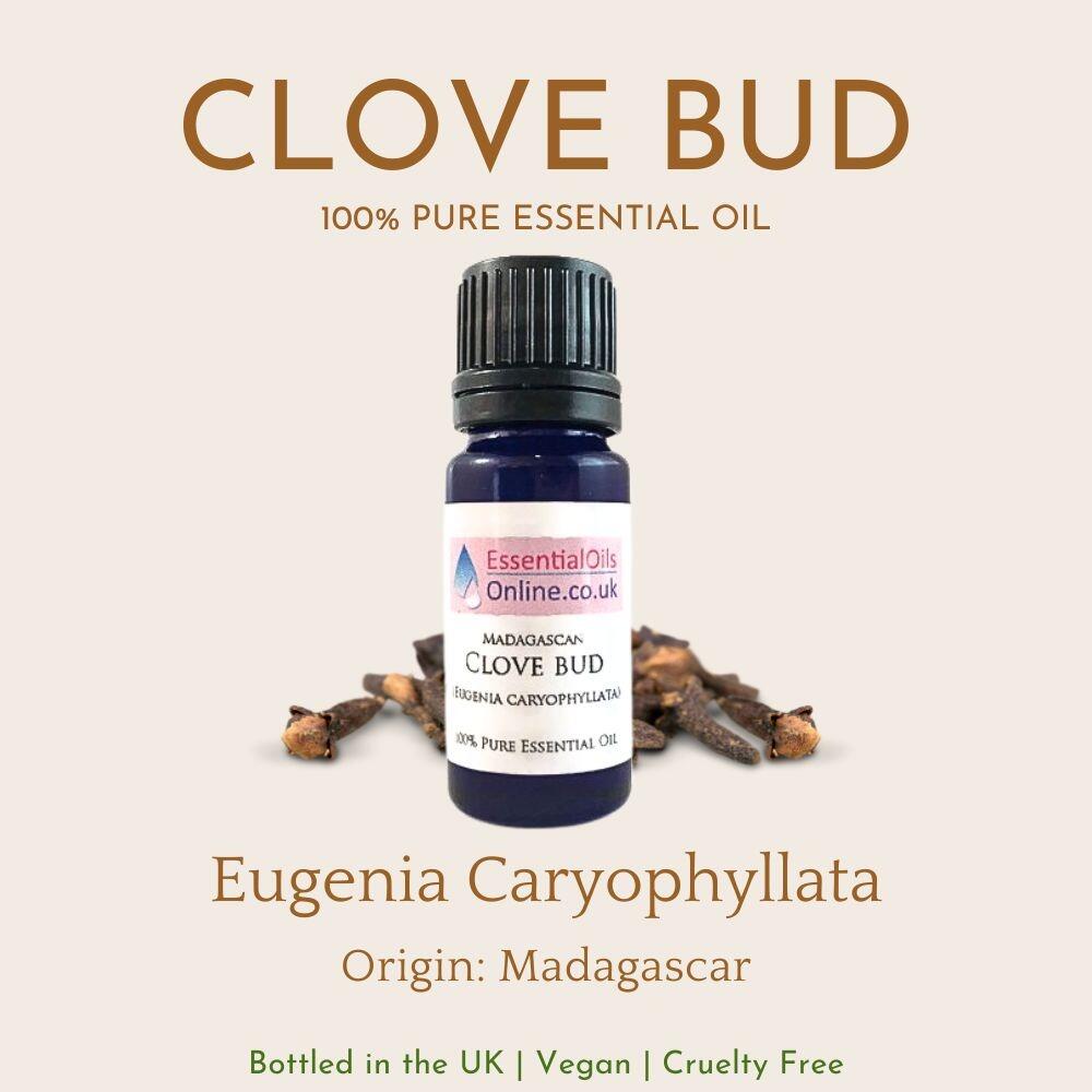 Clove bud essential oil information