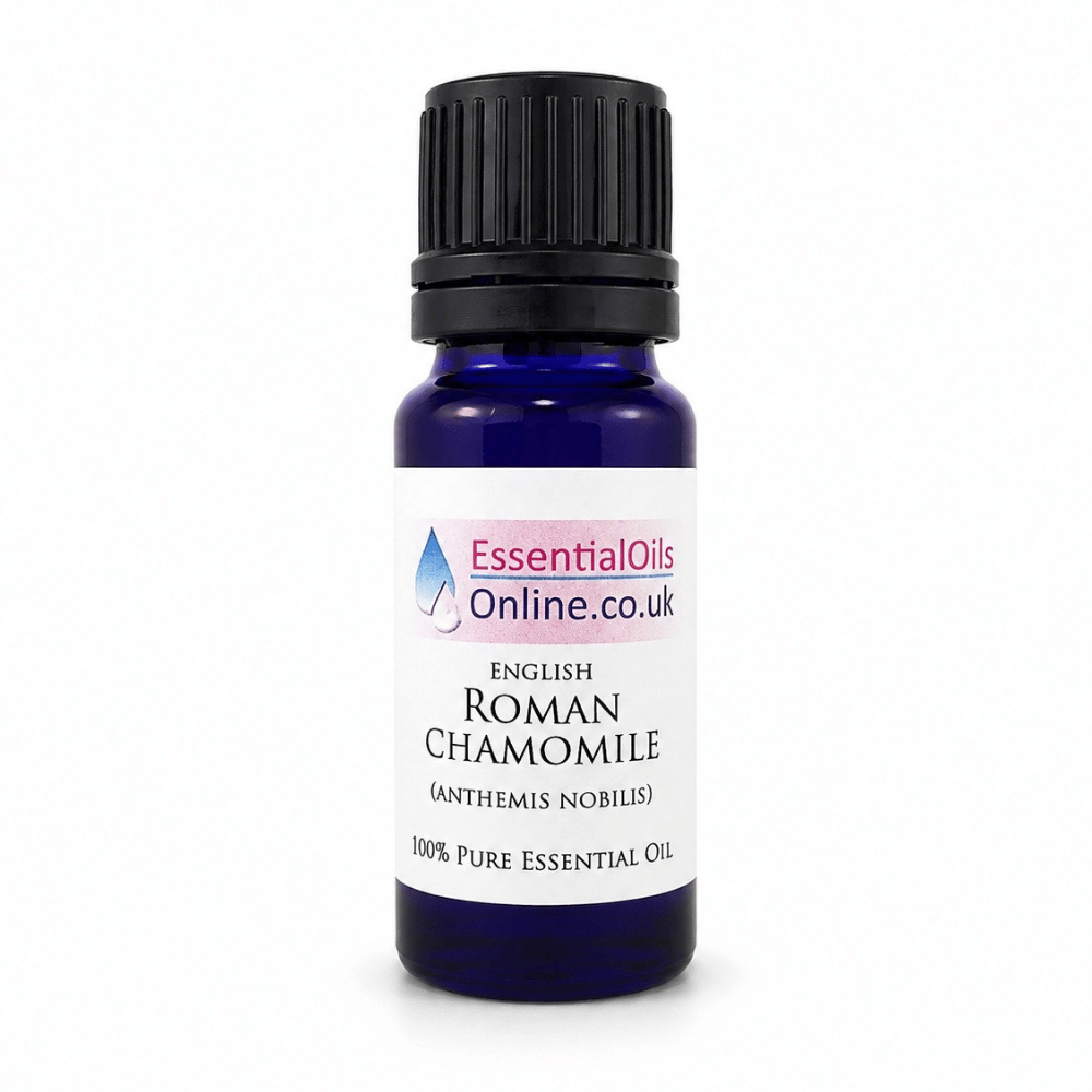 Roman Chamomile essential oil English Anthemis Nobilis White