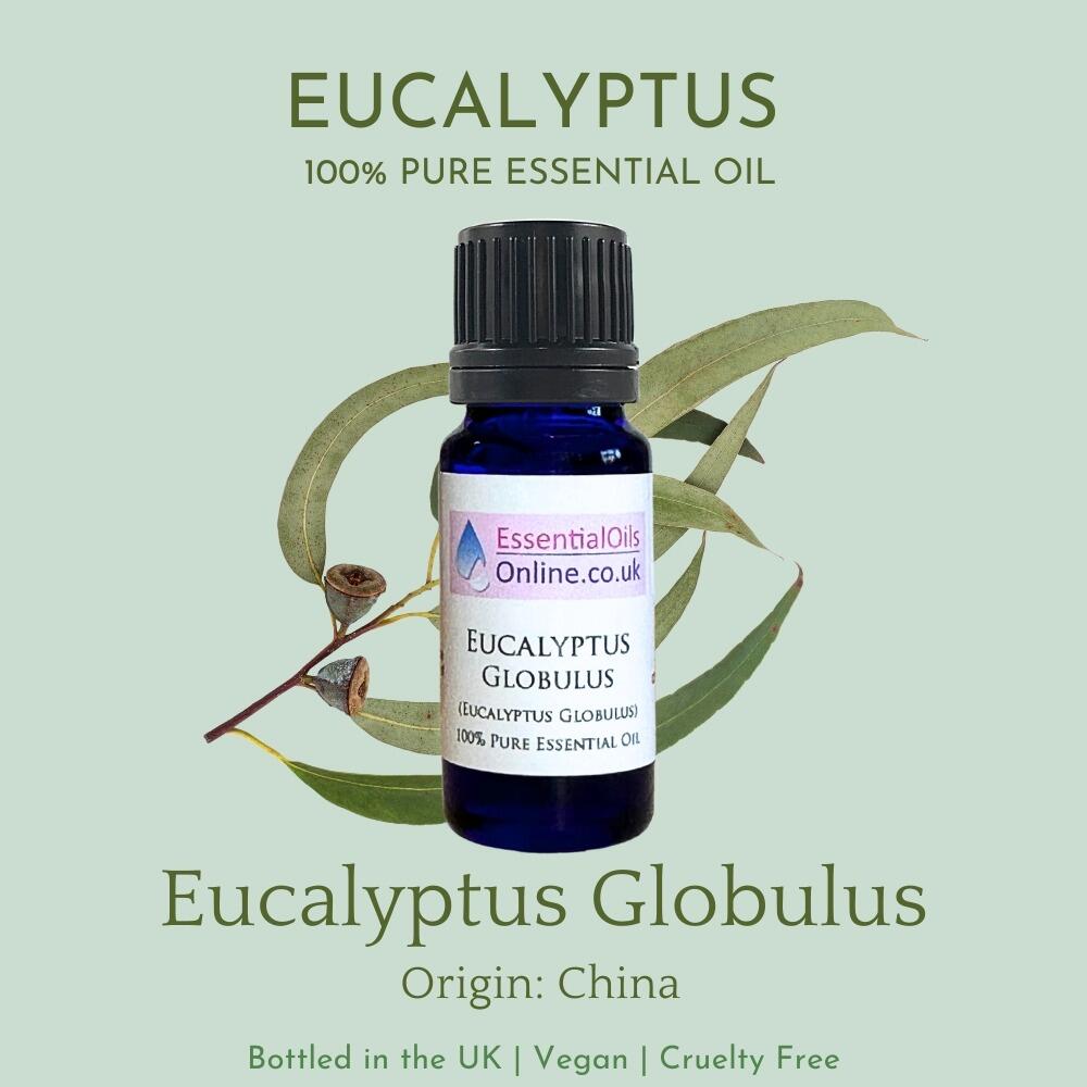 Eucalyptus essential oil information