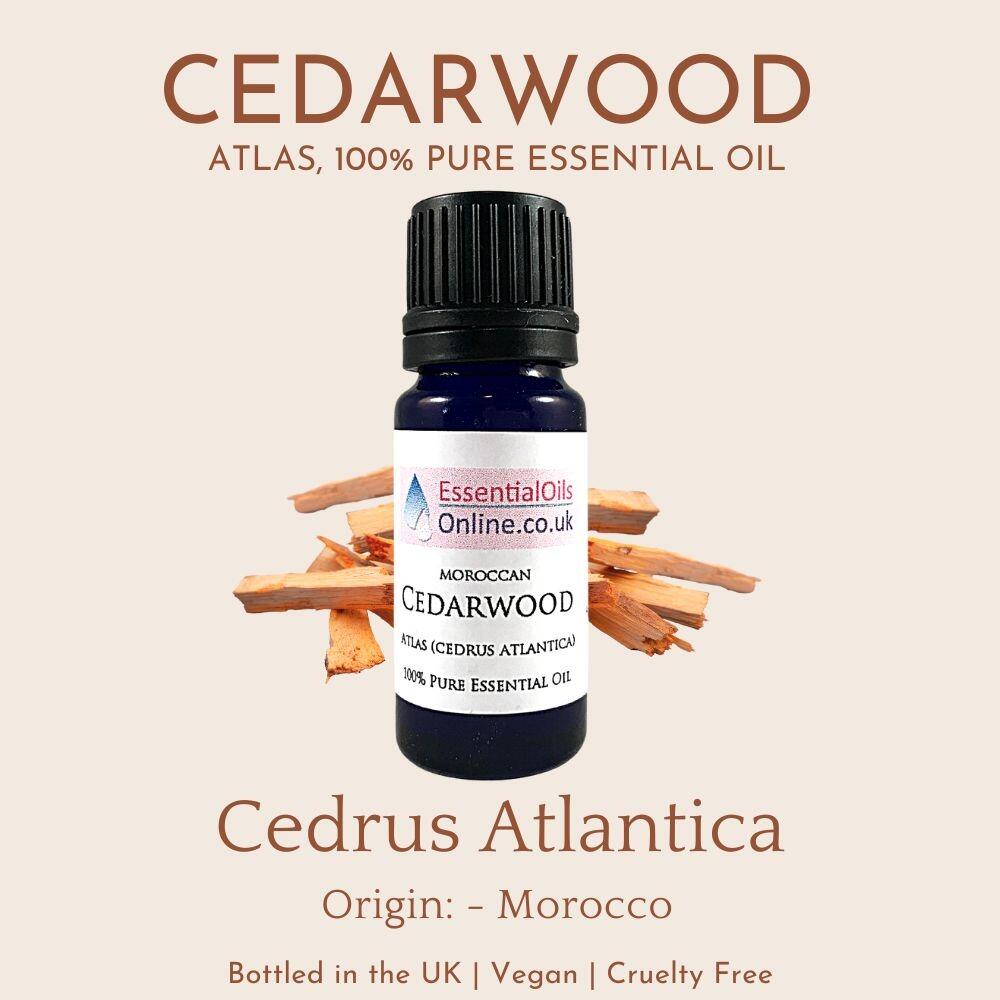 Cedarwood Atlas essential oil info
