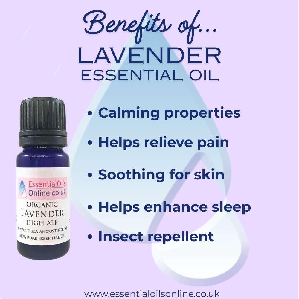 Organic High Alp French Lavender essential oil benefits
