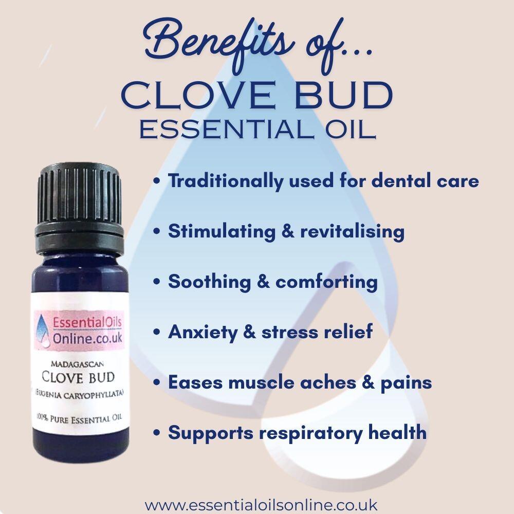 Clove bud essential oil benefits