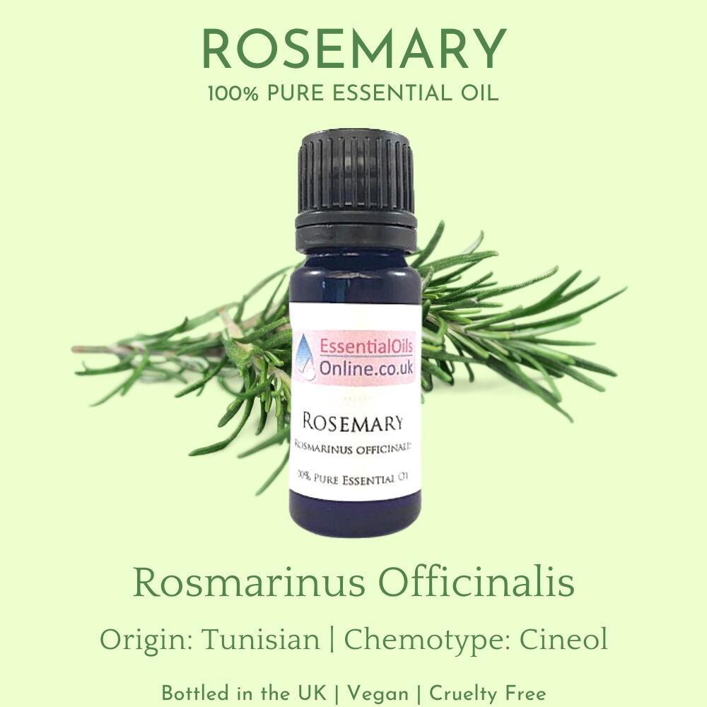 rosemary essential oil information